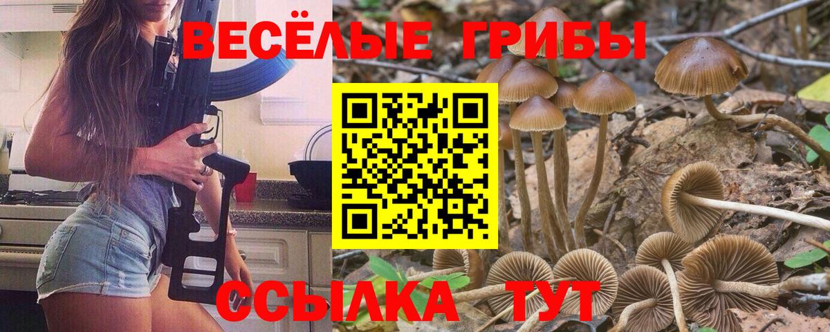 Псилоцибиновые грибы MAGIC MUSHROOMS  Вход с VPN  Обь 